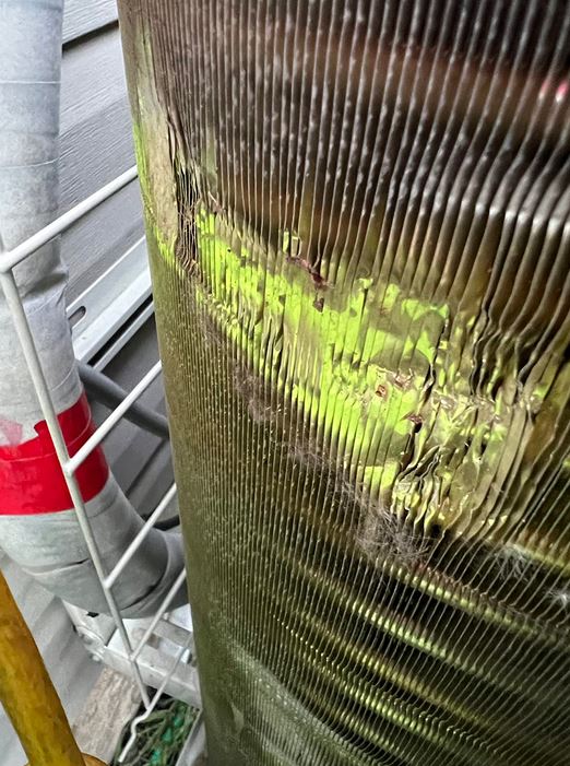 Can UV Filters Destroy Mold? 🥇 Air Conditioning Repair Cherry